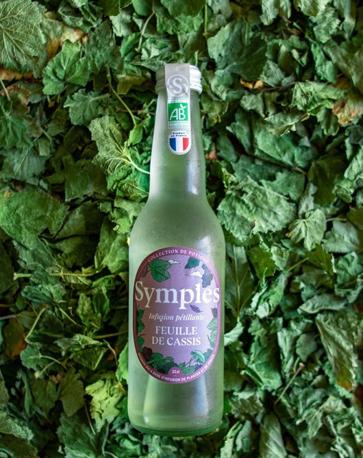 Symples infusion de feuille de cassis 🥂 Sanzalc, la cave sans alcool et sans complexe